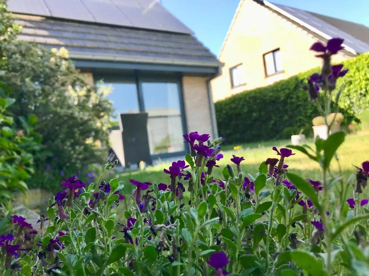 Villa Ter Zwaanhoek Ostende